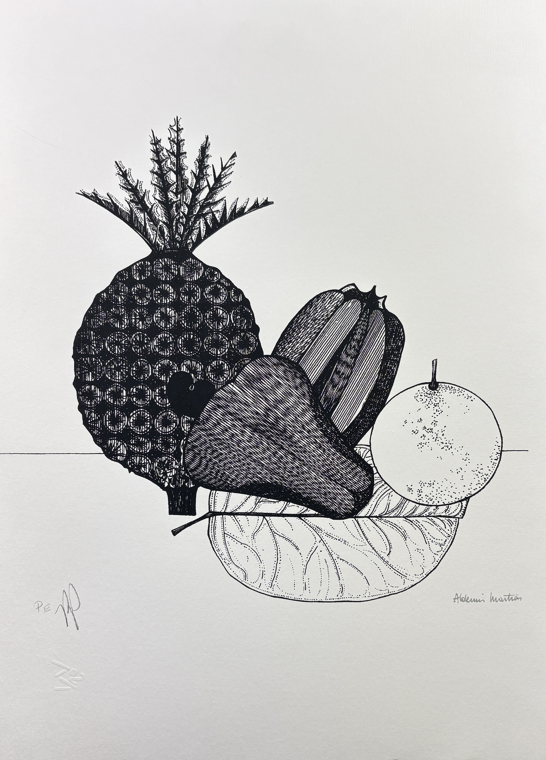 6536 ALDEMIR MARTINS GRAVURA